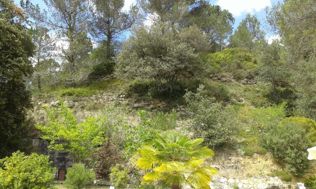 Gite Sud De France-Carcassonne Chez Lea Aragon Zewnętrze zdjęcie
